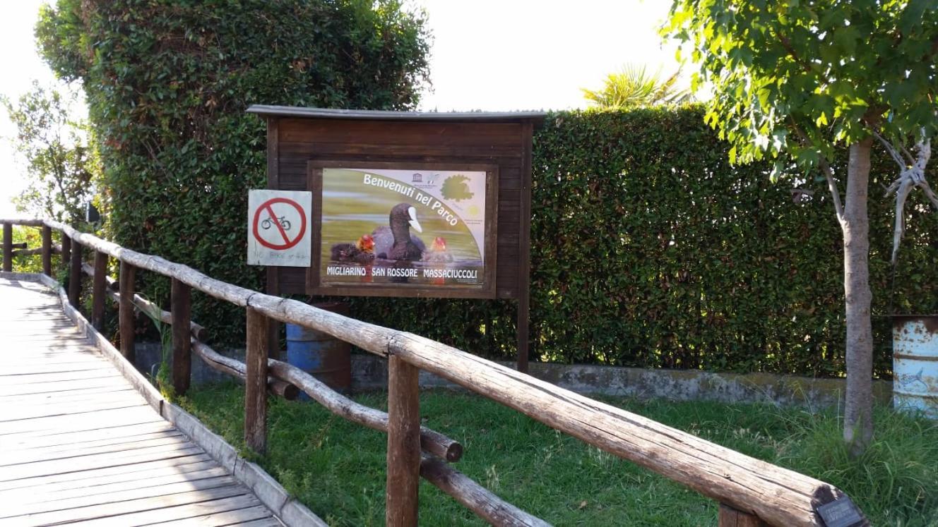 Villa Twetty Massaciuccoli Zewnętrze zdjęcie